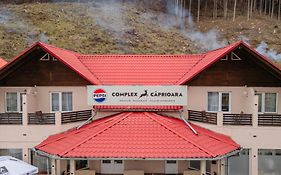 Pensiune Restaurant Căprioara Toplița
